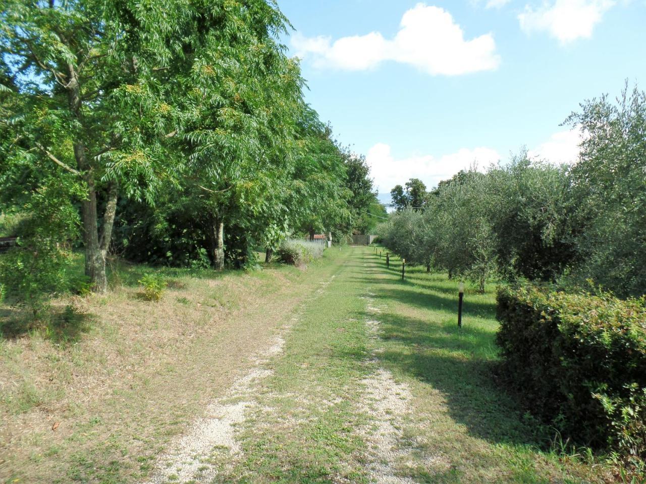 קפודימונטה Poggiolindo B&B מראה חיצוני תמונה