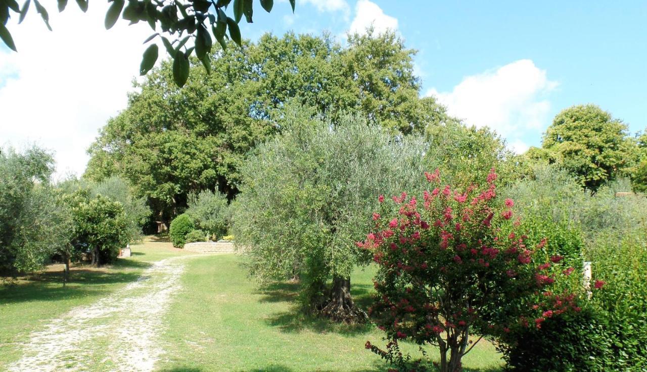 קפודימונטה Poggiolindo B&B מראה חיצוני תמונה